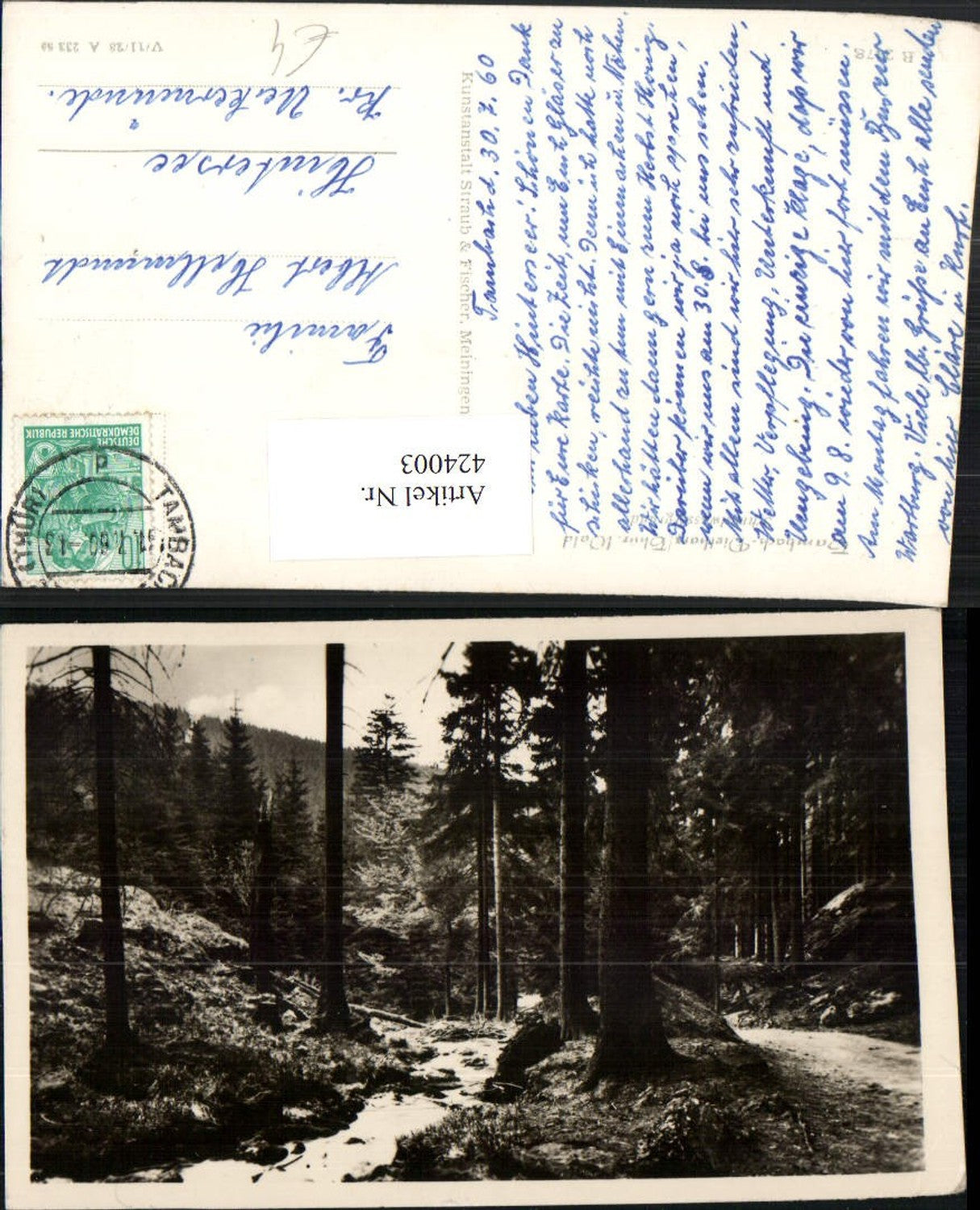 424003,Tambach-Dietharz Schmalwassergrund Wald