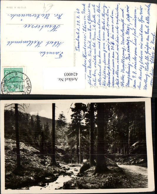 424003,Tambach-Dietharz Schmalwassergrund Wald