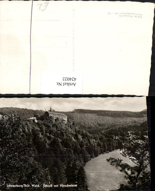 424022, Schwarzburg Castle with deer meadow