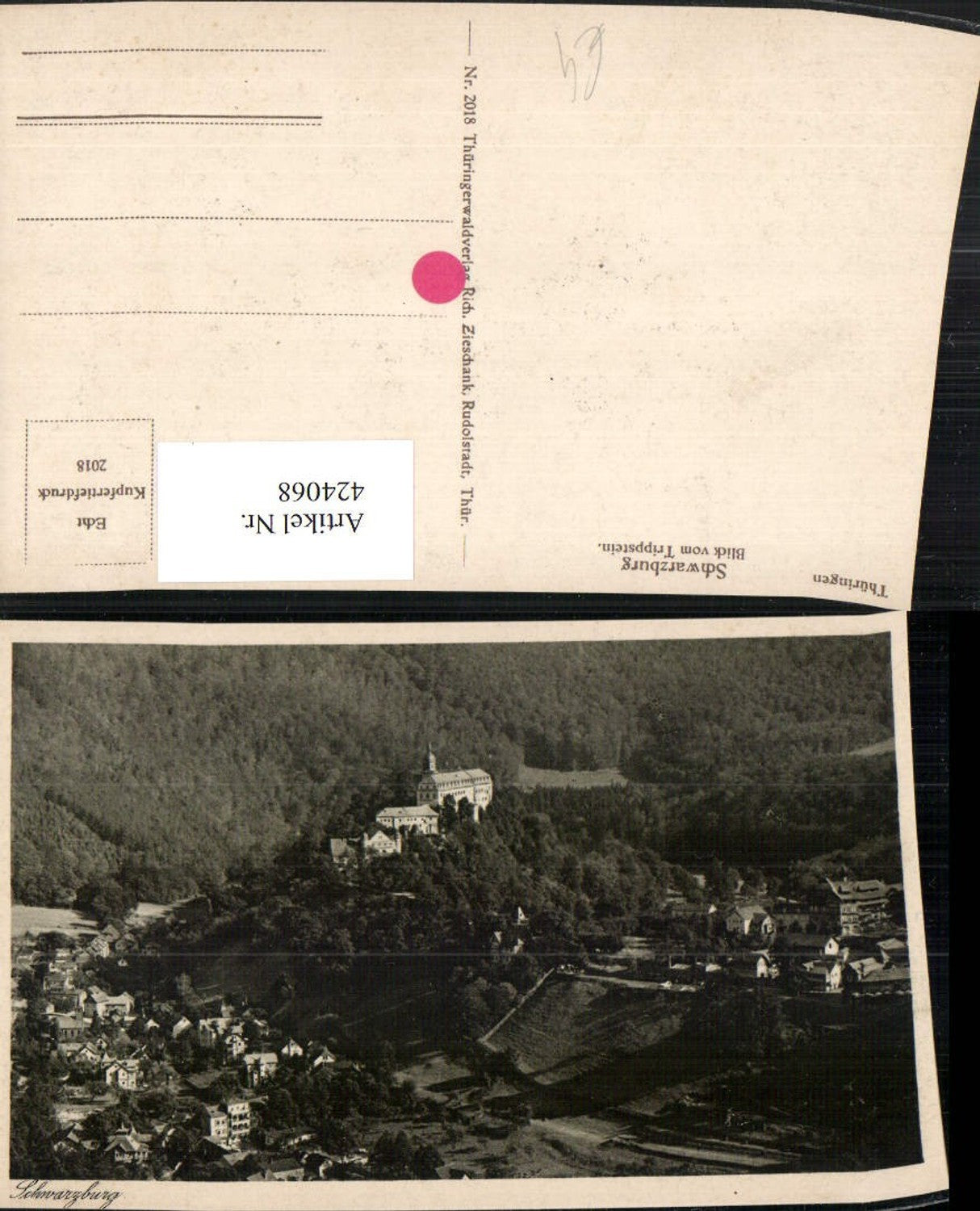 424068, Schwarzburg Totale m. Schloss vom Trippstein