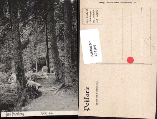 424105,Bad Harzburg Kaltes Tal Wald Partie