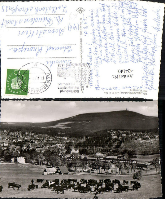 424140,Braunlage im Oberharz Totale m. Wurmberg Rinder