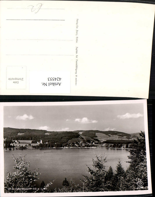 424553, Titisee Lake in the Black Forest