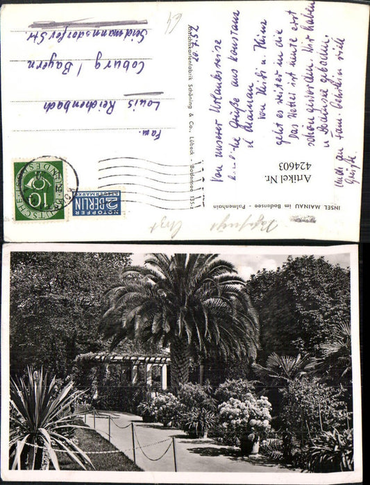424603, Mainau Island on Lake Constance, Palm Grove