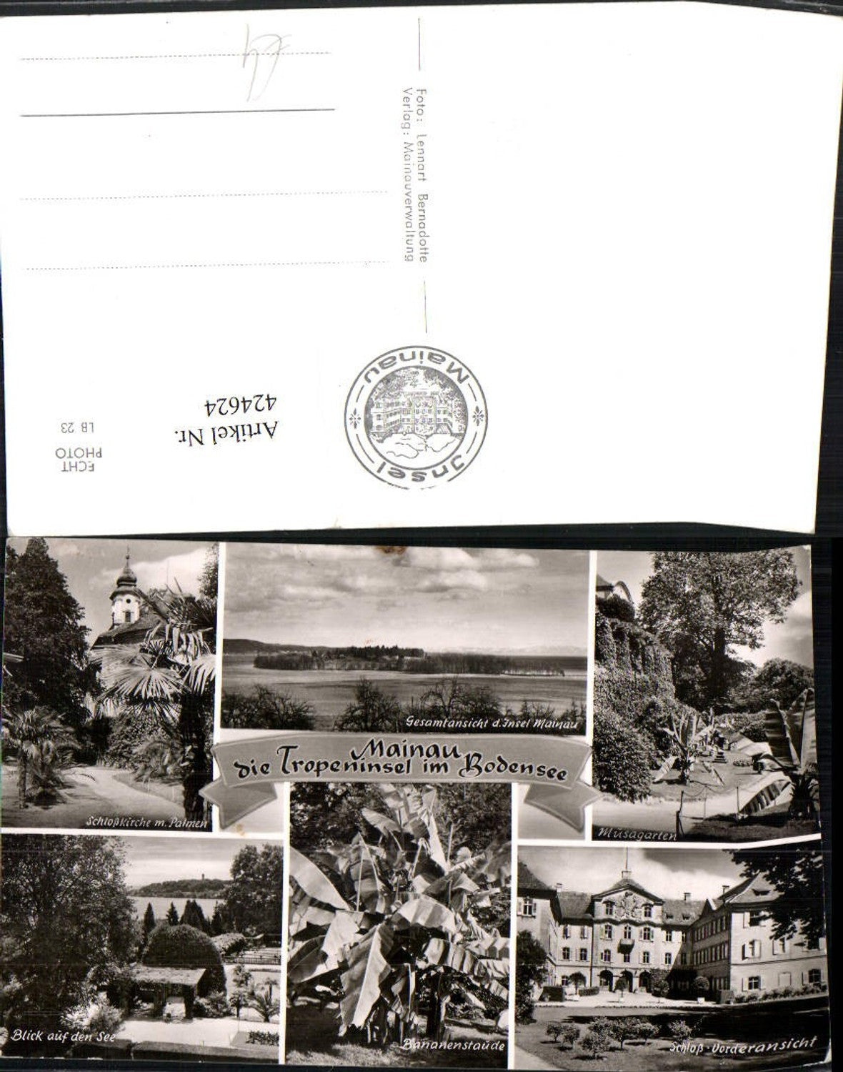 424624,Insel Mainau im Bodensee Totale Schloss Kirche Bananenstaude Mehrbildkarte