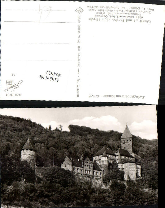 424627,Zwingenberg am Neckar Schloss