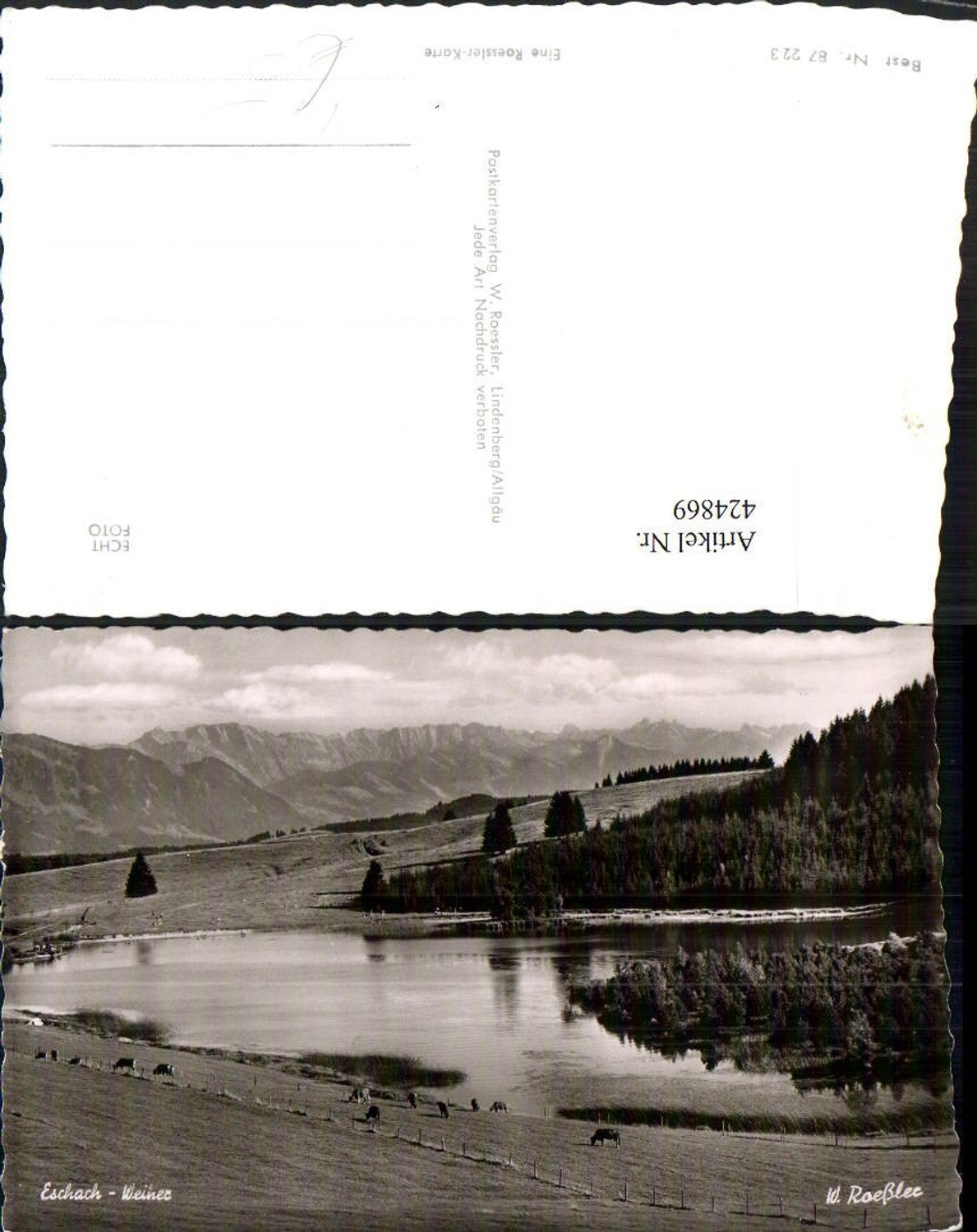 424869,Eschach Weiher b. Buchenberg Bergkulisse pub W. Roessler