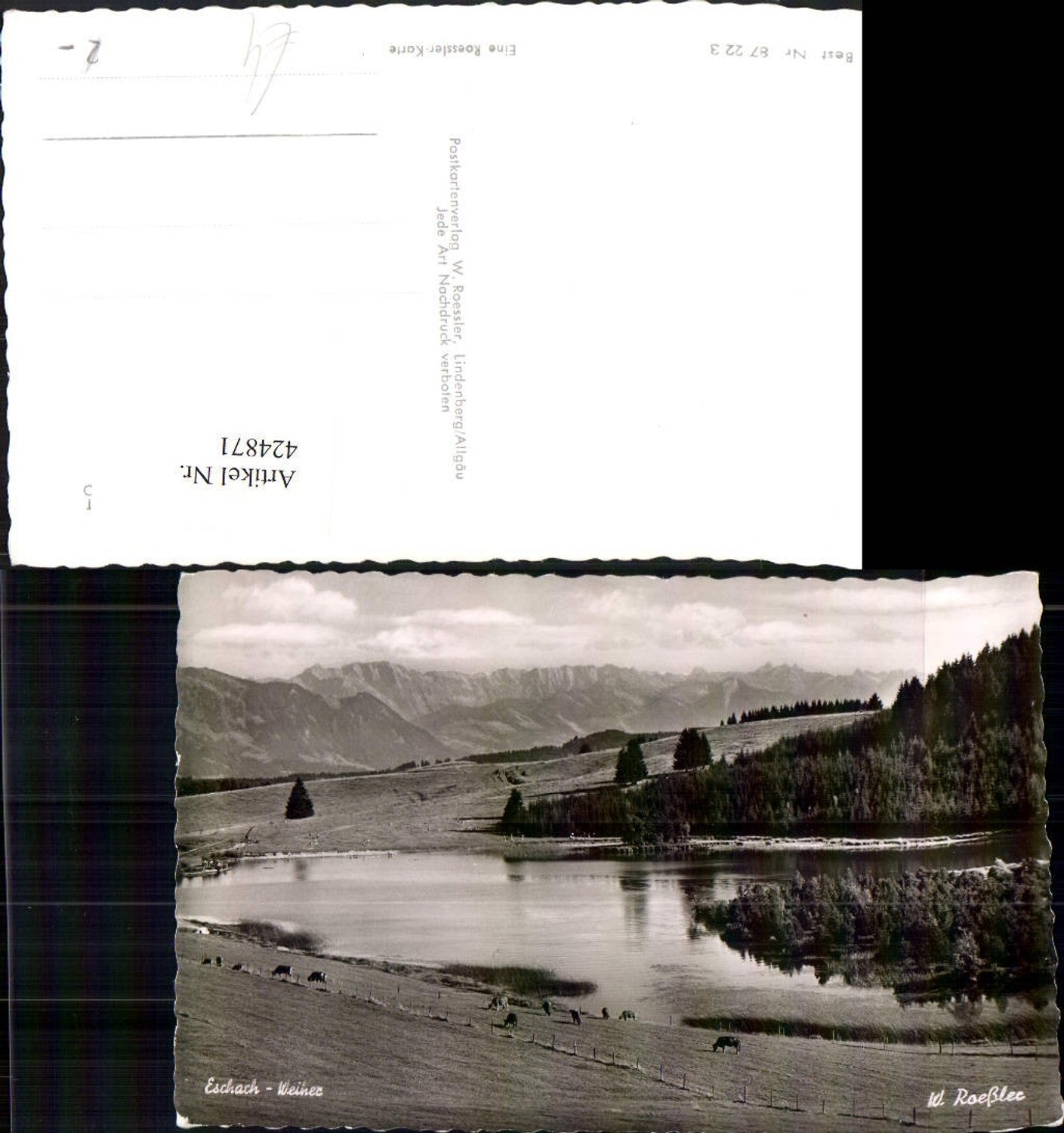 424871,Eschach Weiher b. Buchenberg Bergkulisse pub W. Roessler