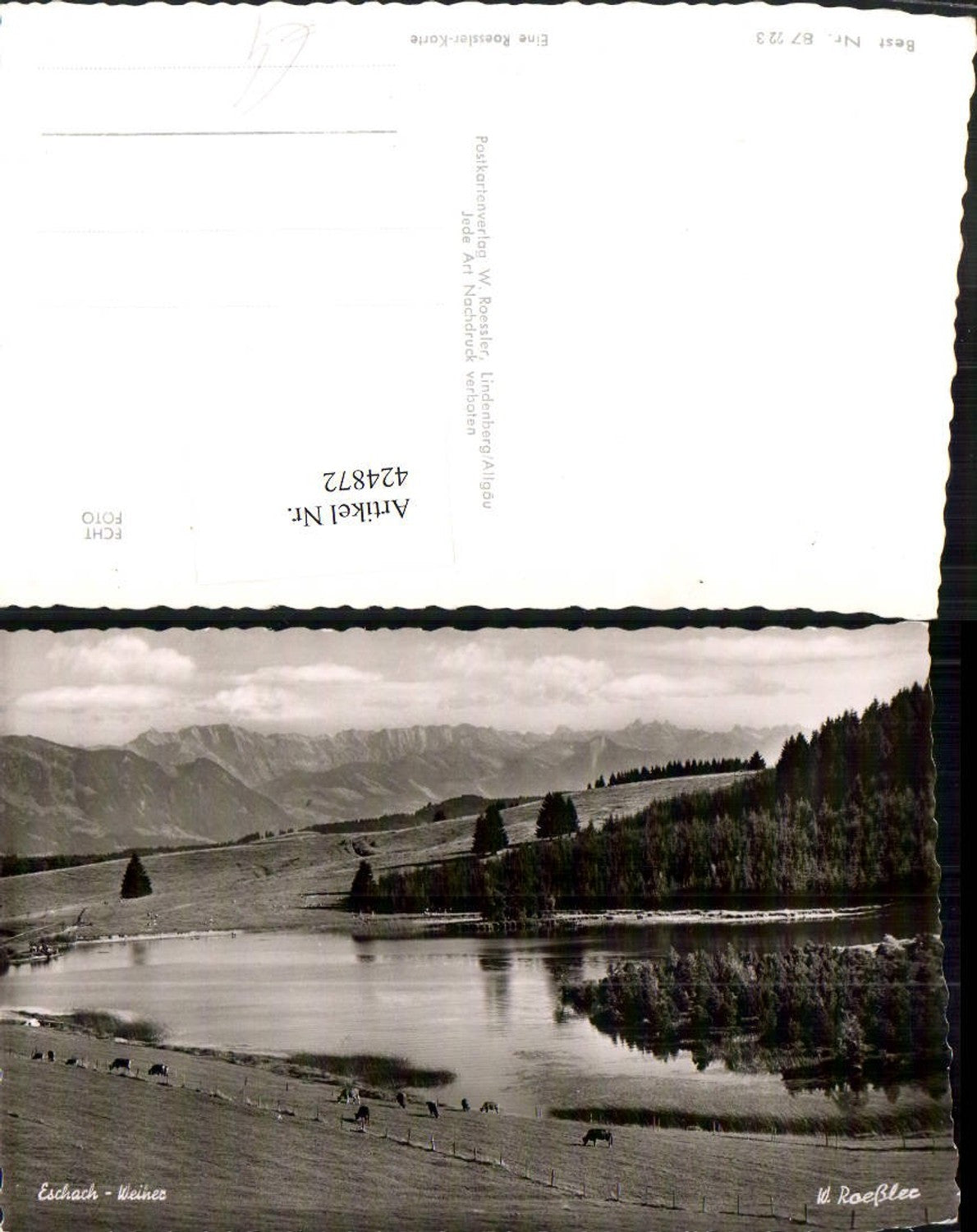 424872,Eschach Weiher b. Buchenberg Bergkulisse pub W. Roessler