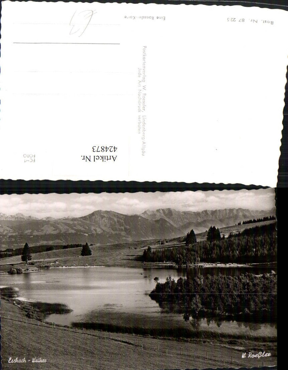 424873,Eschach Weiher b. Buchenberg Bergkulisse pub W. Roessler