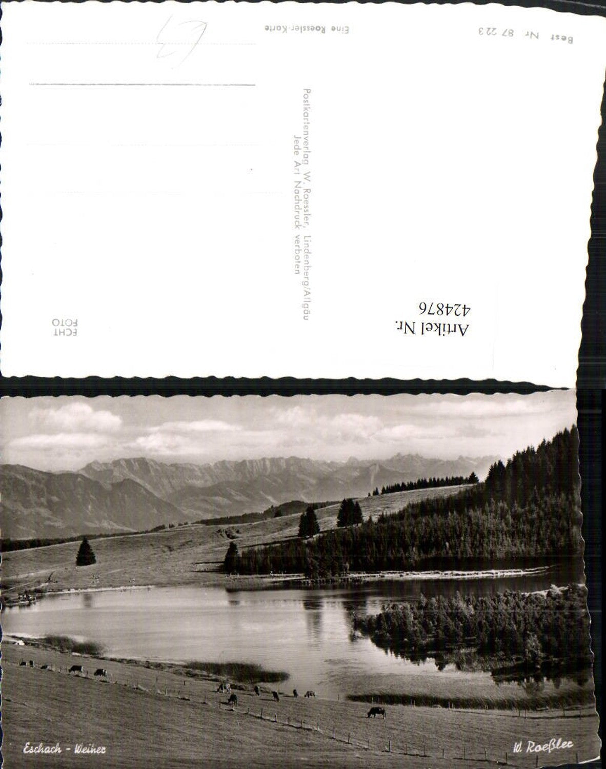 424876,Eschach Weiher b. Buchenberg Bergkulisse pub W. Roessler