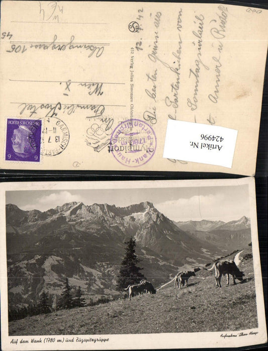 424996,Auf dem Wank b. Partenkirchen m. Zugspitze Bergkulisse Rinder