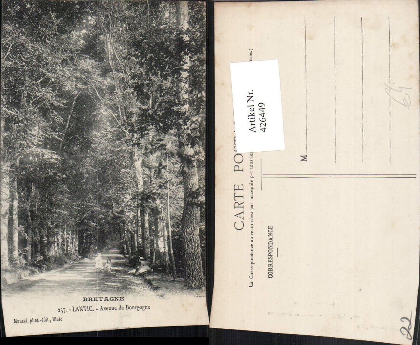 426449,Bretagne Cote-Amor Lantic Avenue de Bourgogne Straße Wald