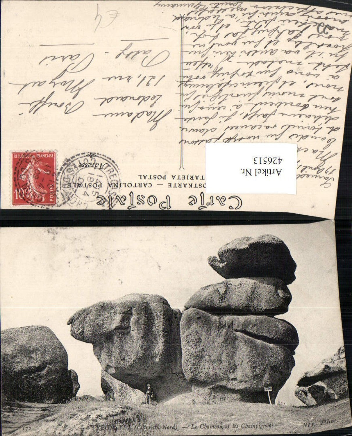426513,Bretagne Cote-Amor Tregastel Le Chamean et les Champignons Felsen