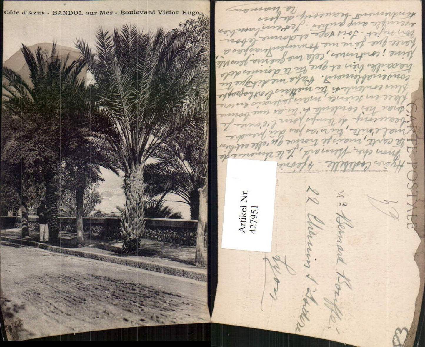 427951,Provence-Alpes-Cote-Azur Var Bandol-sur-Mer Boulevard Victor Hugo Palmen