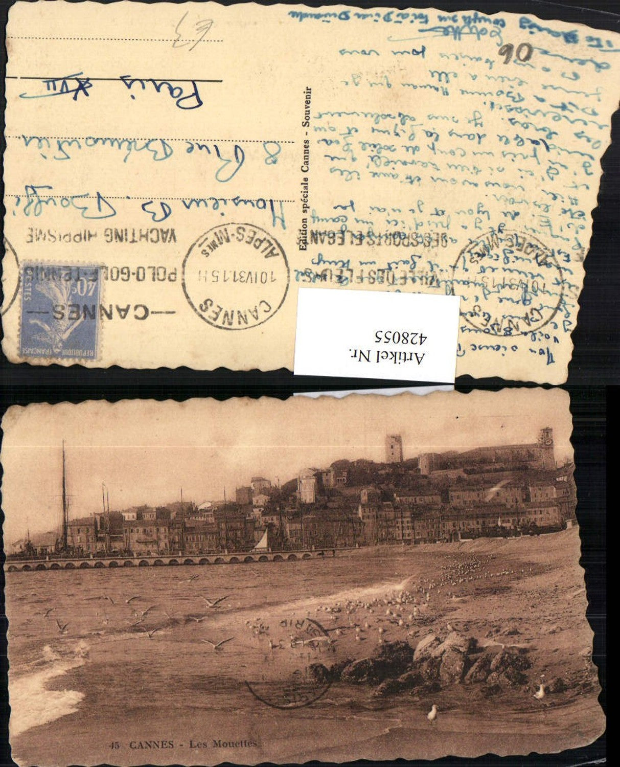 428055,Provence-Alpes-Cote-Azur Alpes-Maritimes Cannes Les Mouettes Strand Möwen