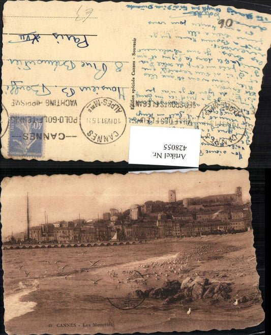 428055,Provence-Alpes-Cote-Azur Alpes-Maritimes Cannes Les Mouettes Strand Möwen