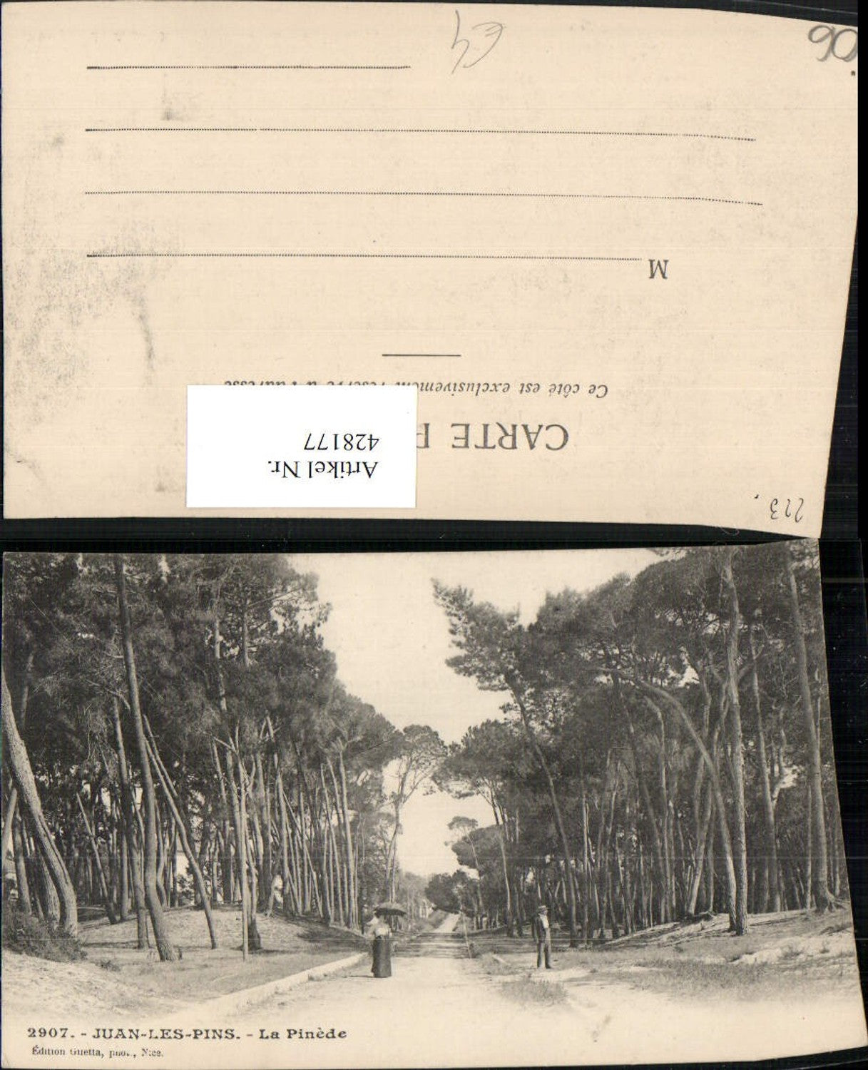 428177,Provence-Alpes-Cote-Azur Alpes Maritimes Juan-les-Pins La Pinede Bäume