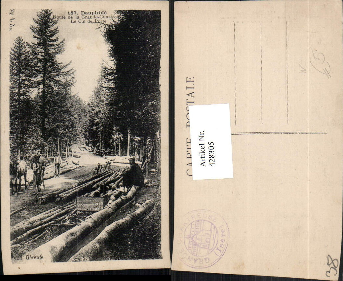 428305,Rhone-Alpes Isere Route de la Grande Chartreuse Col de Porte Baumstämme