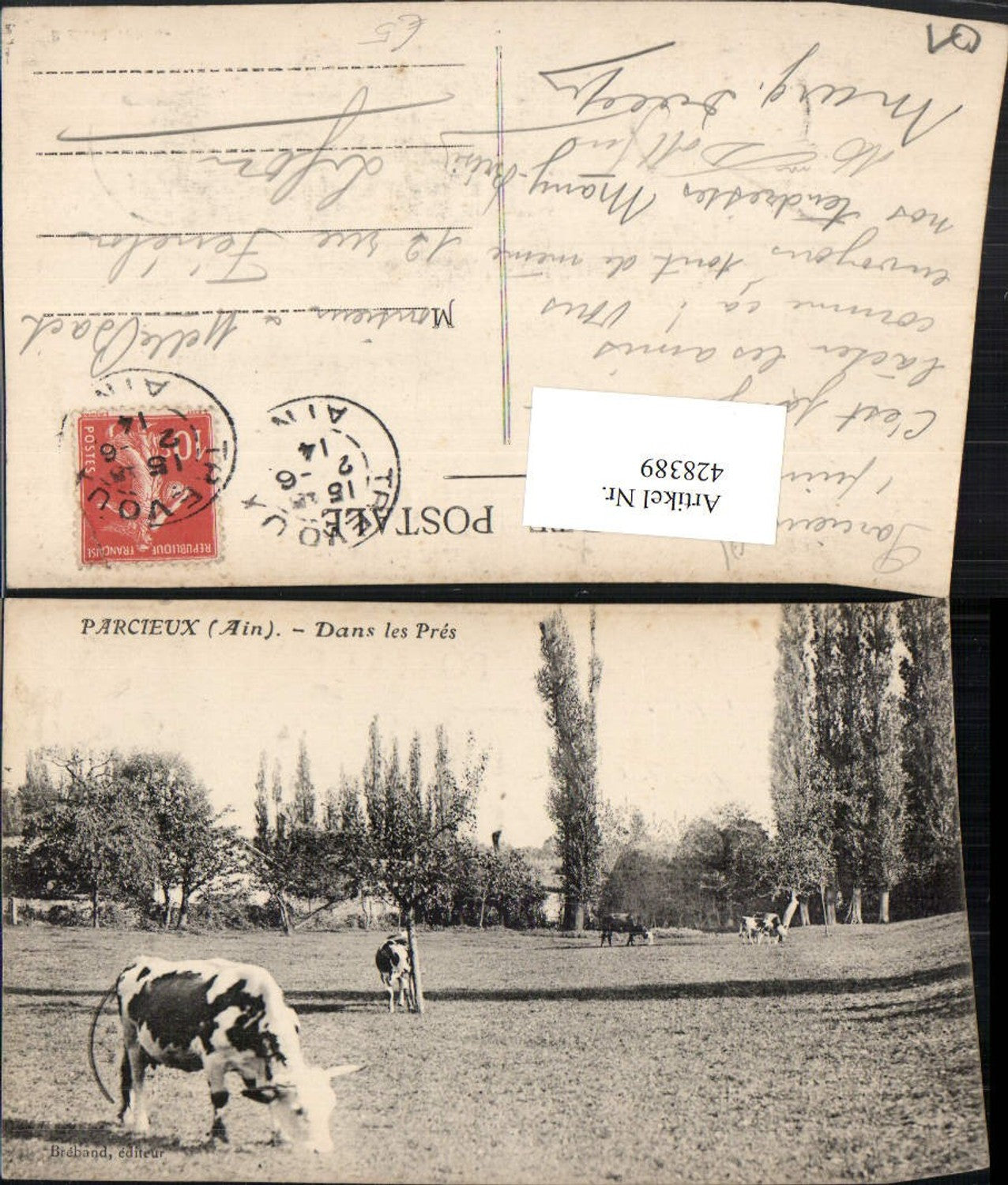 428389,Rhone-Alpes Ain Parcieux Dans les Pres Landschaft Rinder