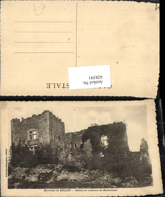 428391,Rhone-Alpes Ain Belley Ruines du chateau de Beauretour Schlossruine