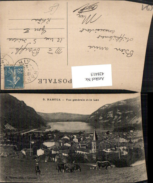 428415,Rhone-Alpes Ain Nantua Vue generale et le Lac Totale See