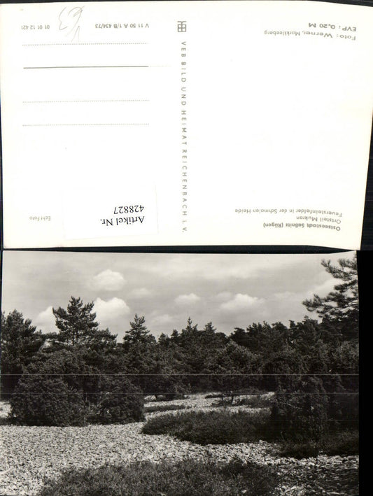 428827,Ostseebad Saßnitz auf Rügen Mukran Feuersteinfelder in d. Schmalen Heide pub VEB