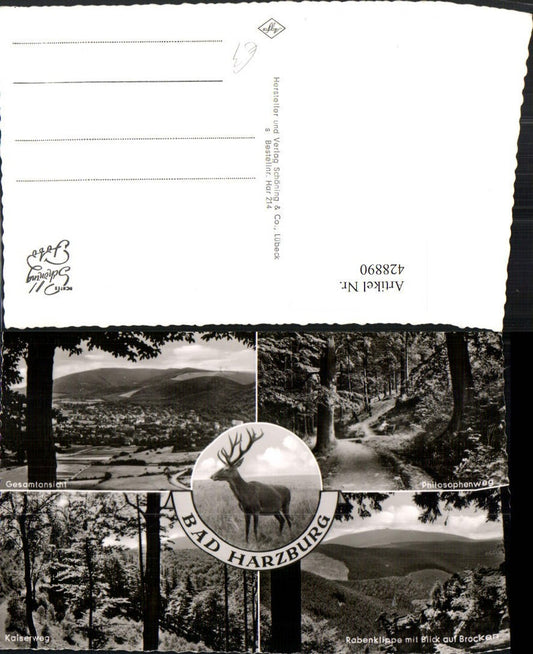 428890,Bad Harzburg Totale Kaiserweg Hirsch Mehrbildkarte