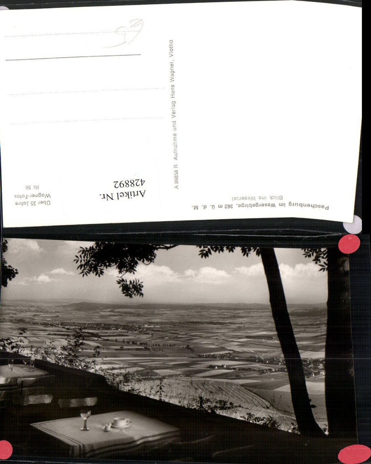 428892,Paschenburg im Wesergebirge Blick ins Wesertal