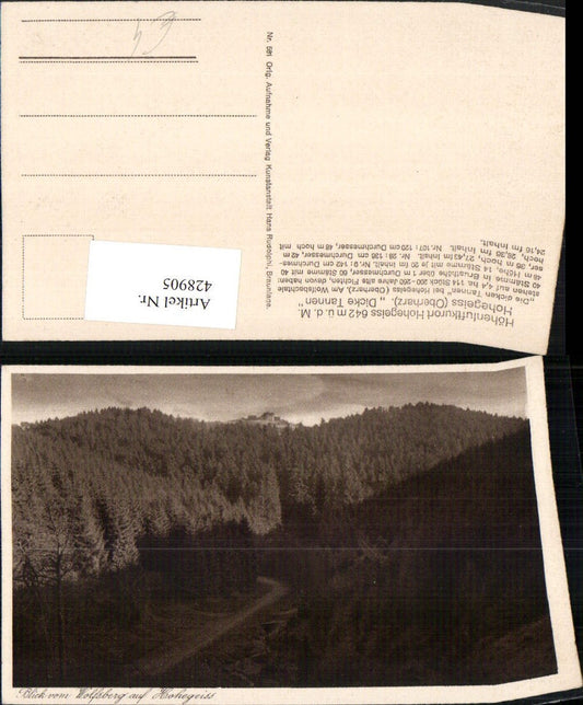 428905,Hohegeiss Hohegeiß im Oberharz Wald vom Wolfsberg