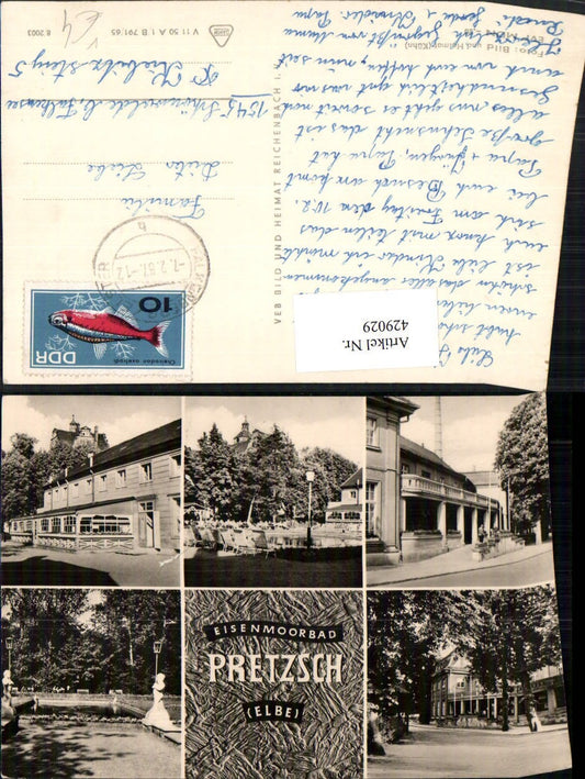 429029,Bad Pretzsch an d. Elbe Moorbad Mehrbildkarte pub VEB