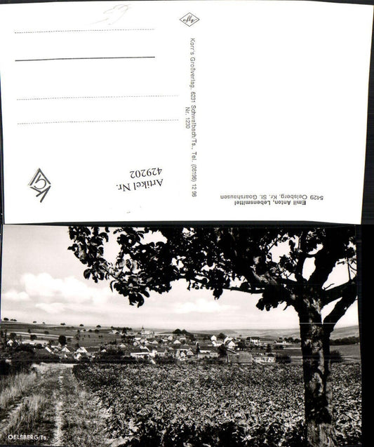 429202,Oelsberg im Taunus Totale Wegpartie