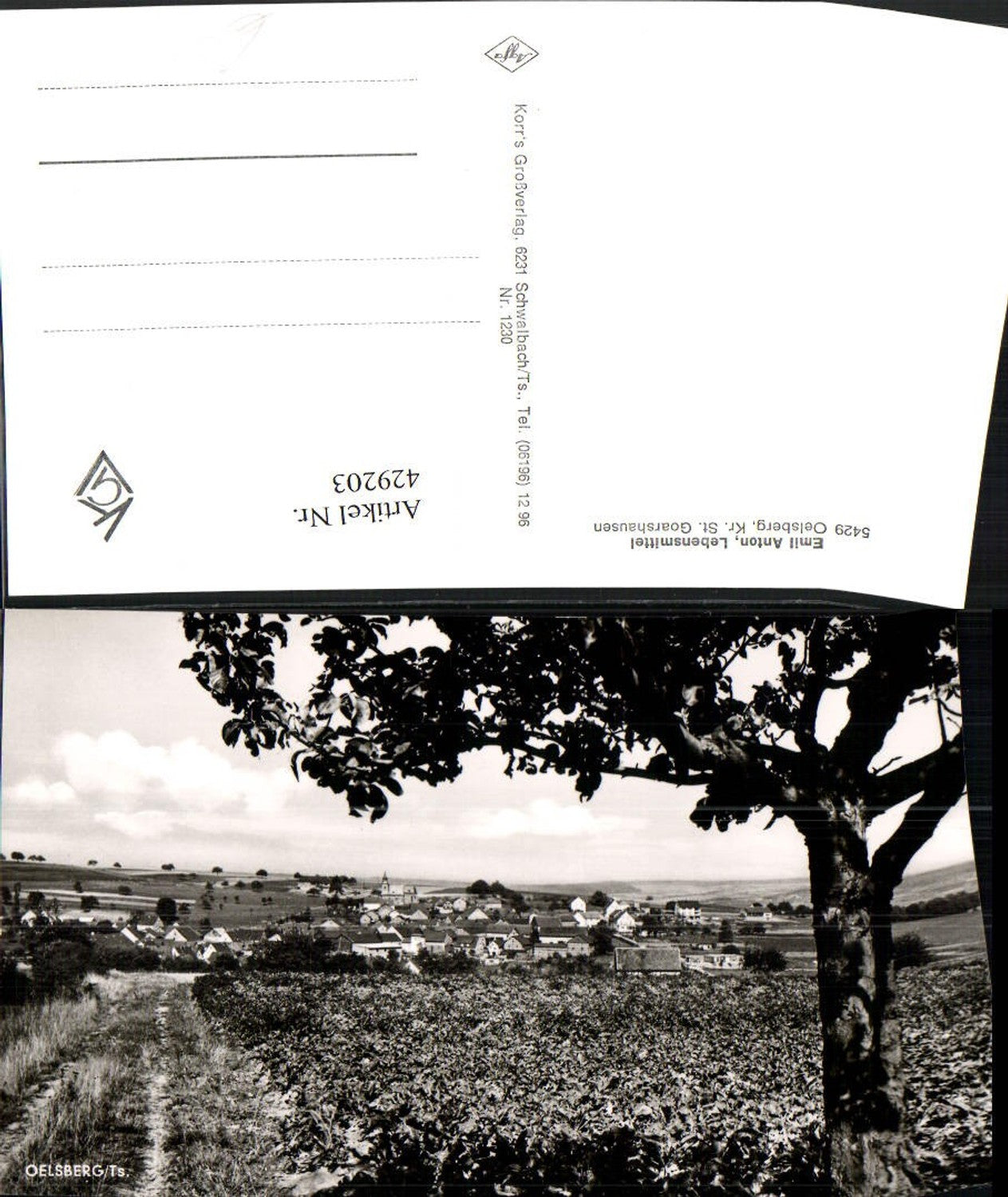429203,Oelsberg im Taunus Totale Wegpartie