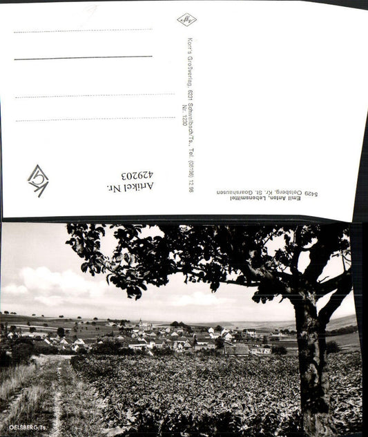 429203,Oelsberg im Taunus Totale Wegpartie