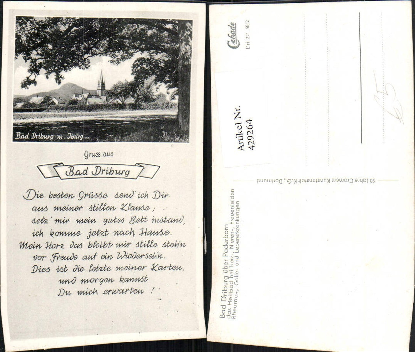 429264,Bad Driburg Teilansicht m. Iburg Text