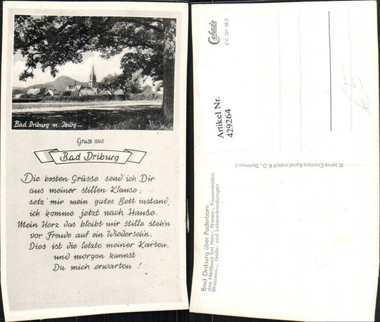 429264,Bad Driburg Teilansicht m. Iburg Text