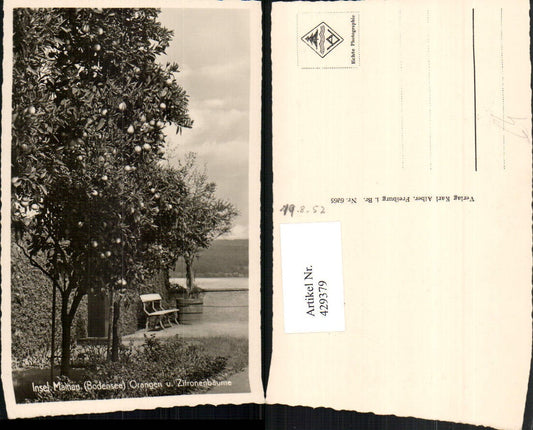 429379, Mainau Island in Lake Constance near Constance, orange and lemon trees