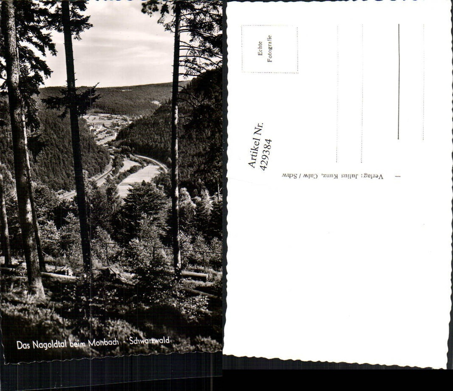 429384, Nagold Valley near Monbach in the Black Forest