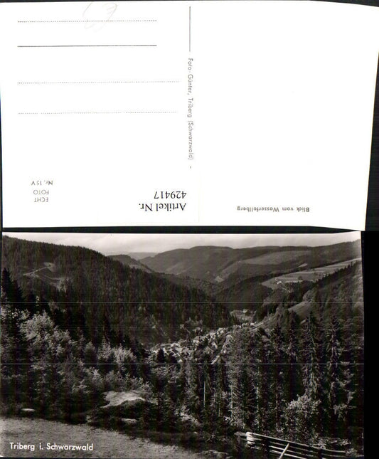 429417,Triberg im Schwarzwald Blick vom Wasserfallberg