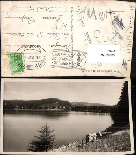 429436, Titisee in the Black Forest Lake