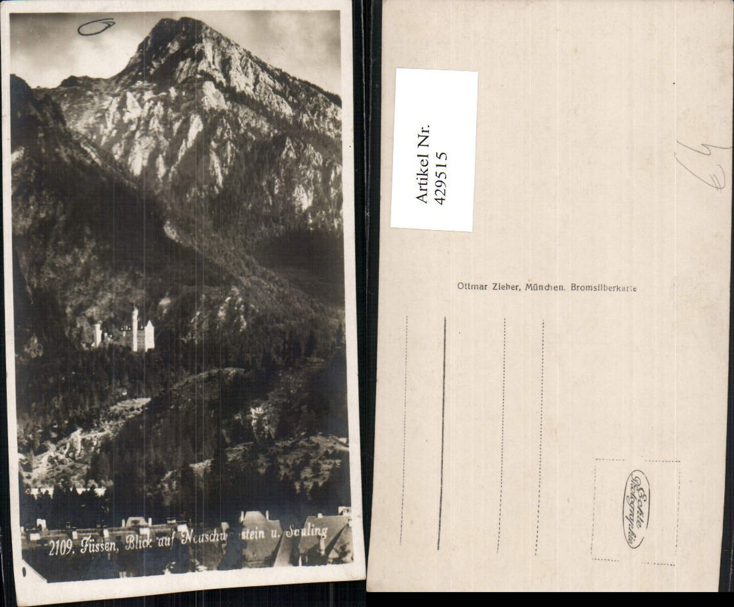 429515,Füssen Blick auf Schloss Neuschwanstein u. Säuling