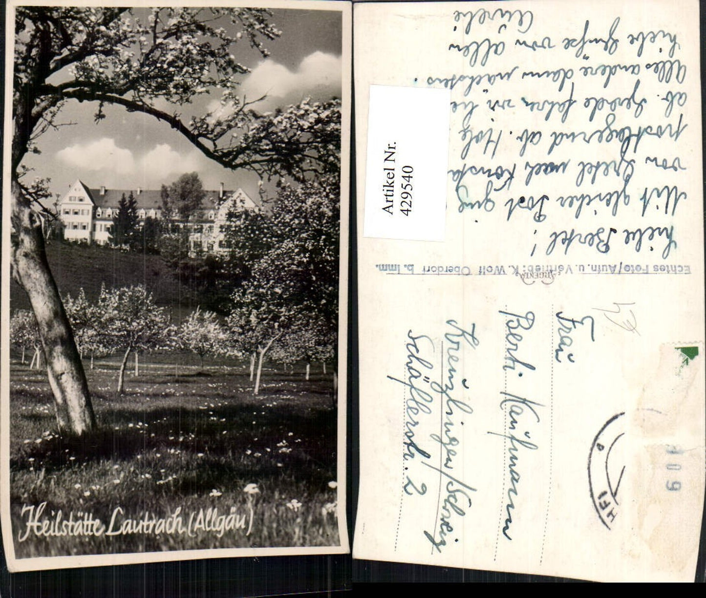 429540, Lautrach Sanatorium in the Allgäu, Tree Blossom
