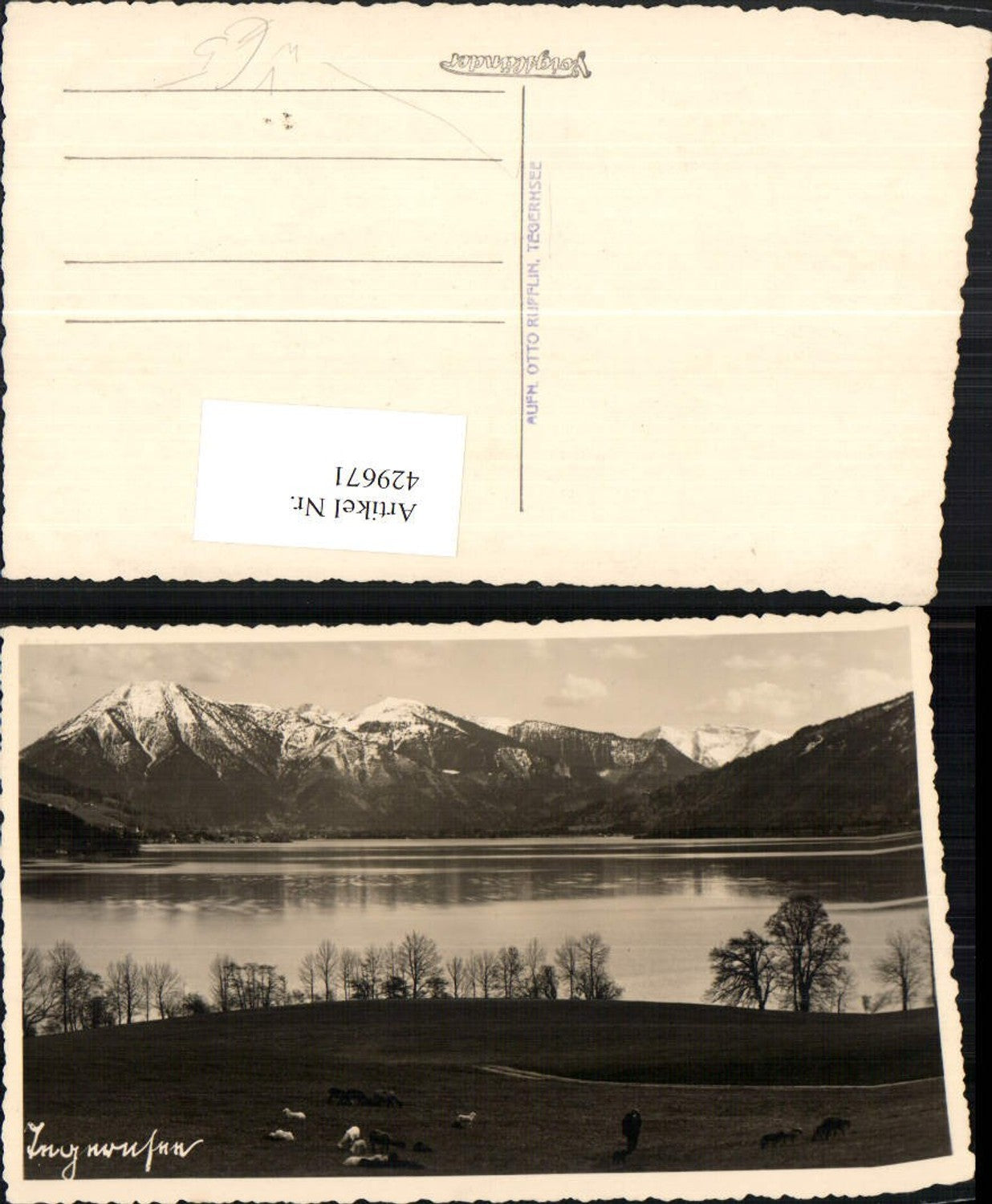 429671,Tegernsee See Bergkulisse pub Foto Otto Rupflin