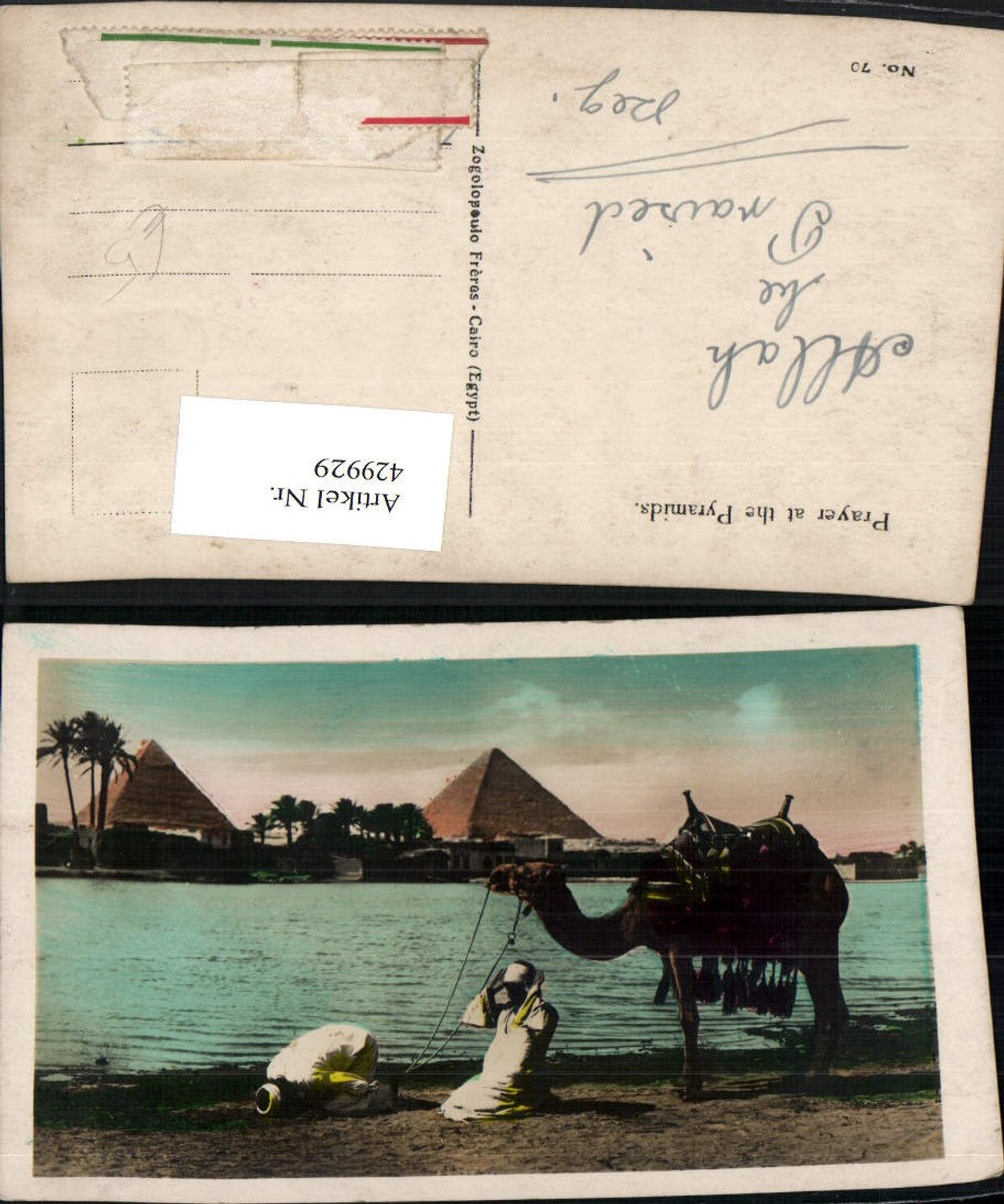 429929,Egypt Pryer at the Pyramids Beter Volkstypen Kamel Pyramiden