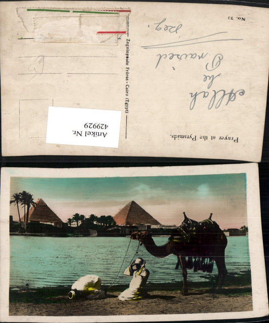429929,Egypt Pryer at the Pyramids Beter Volkstypen Kamel Pyramiden