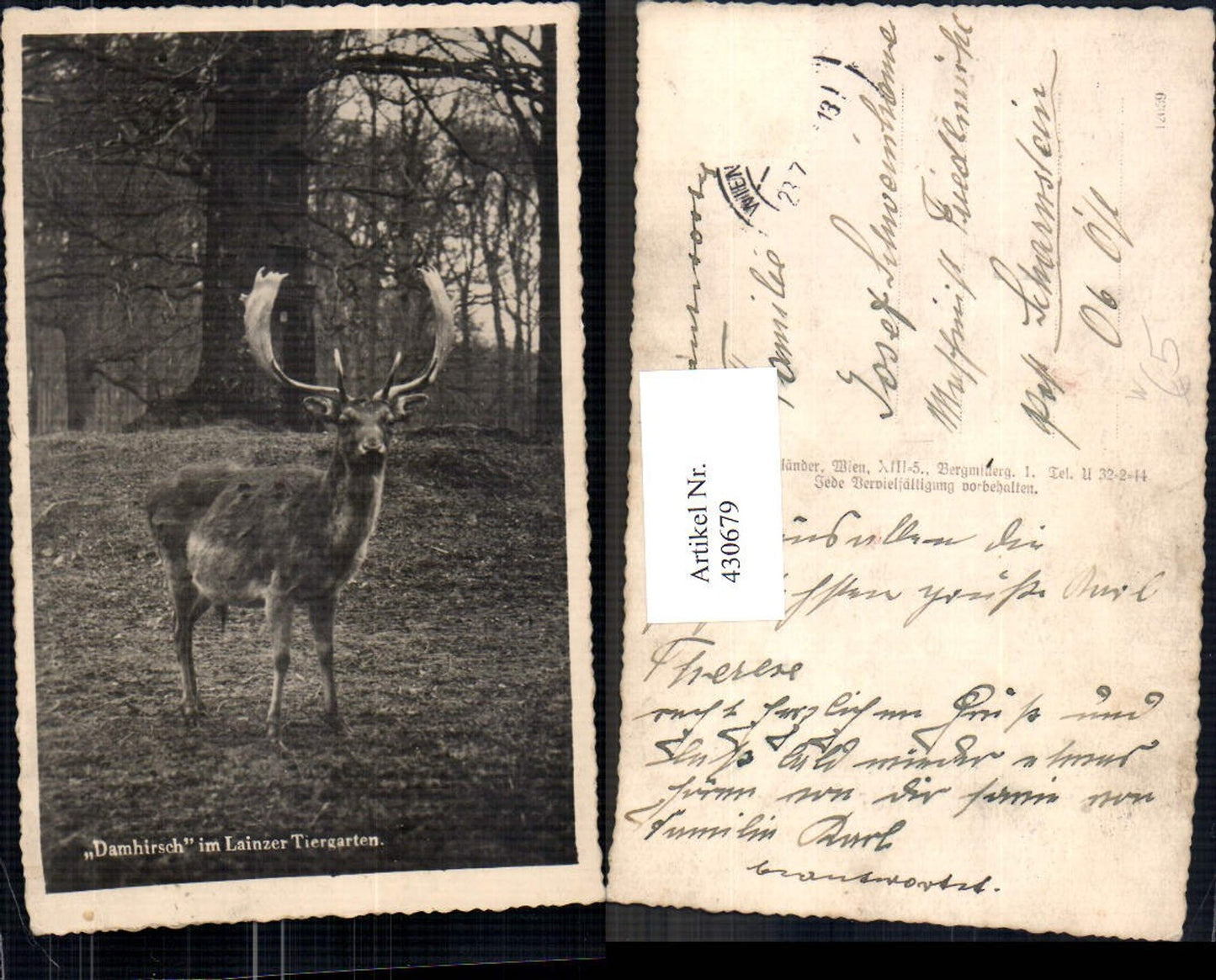 Alte Ansichtskarte – Old Postcard