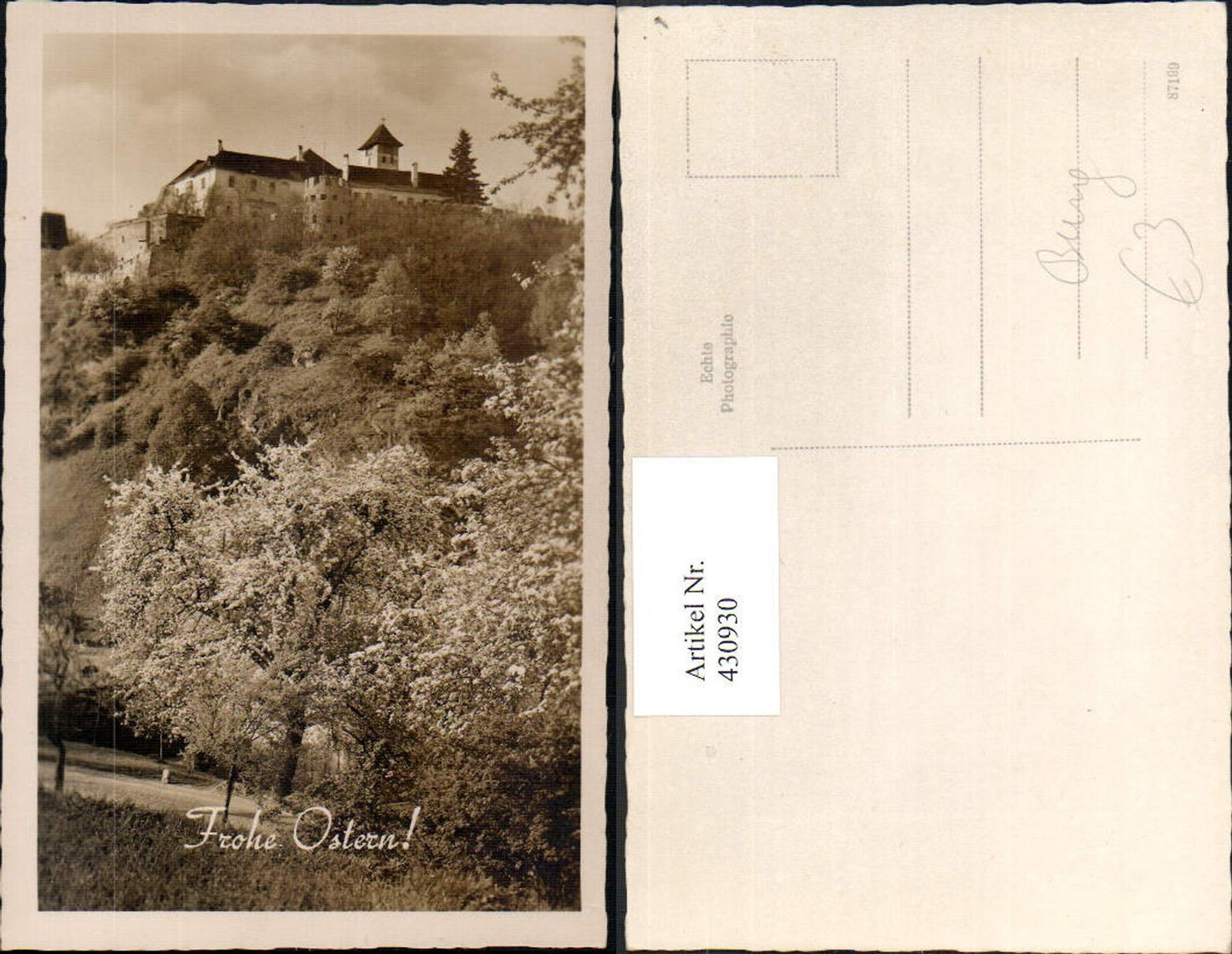 430930,Foto Ak Burg Baumblüte Bäume a. Hang Berg