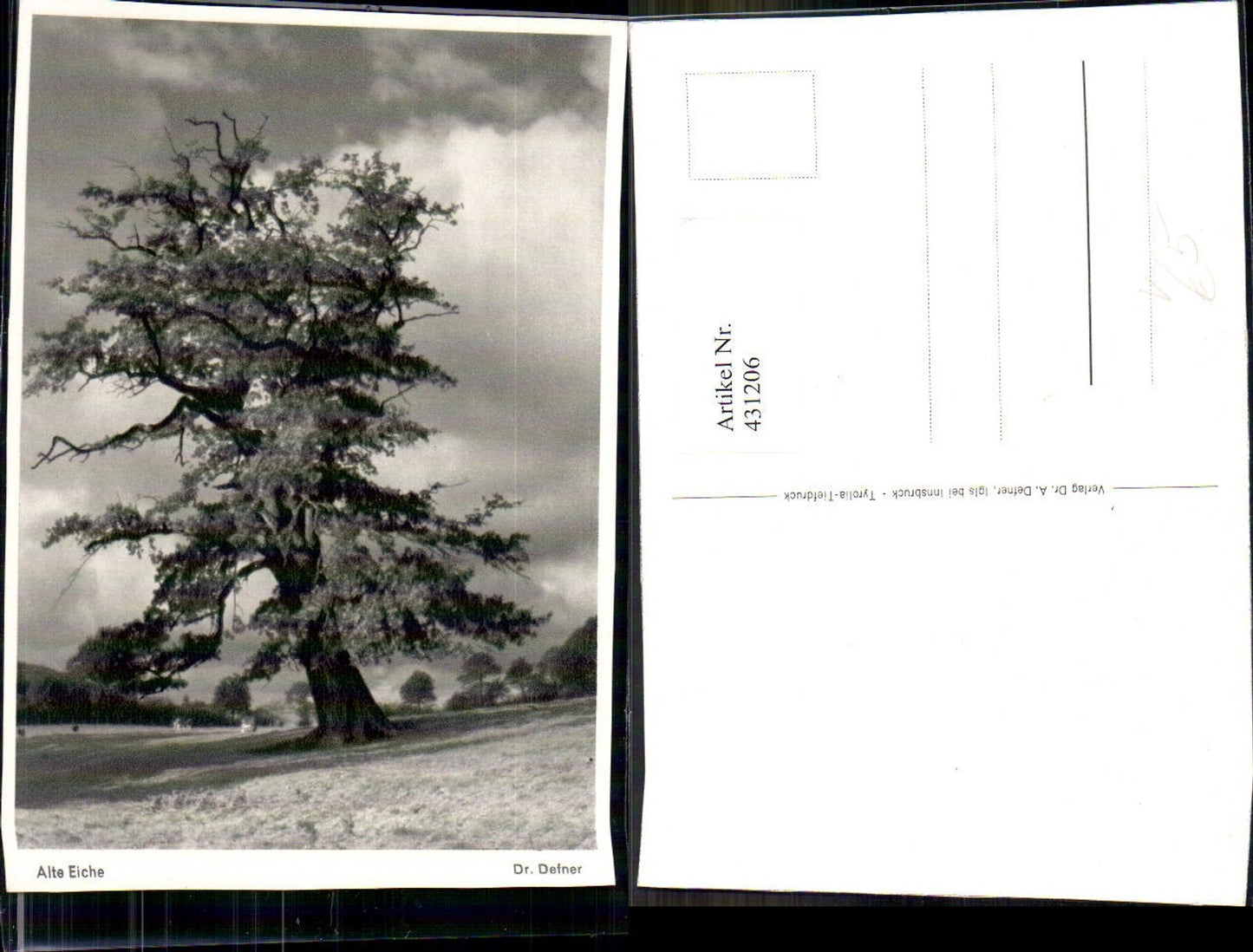 431206, Tree Old Oak pub Dr. Defner