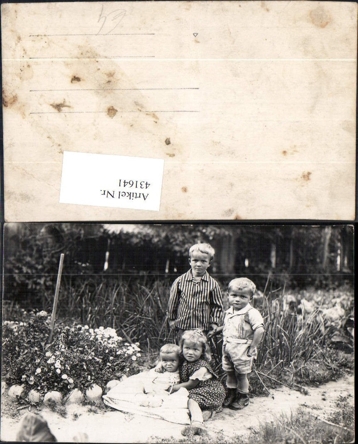 431641,Foto Ak Kinder a. Wiese Gruppenbild