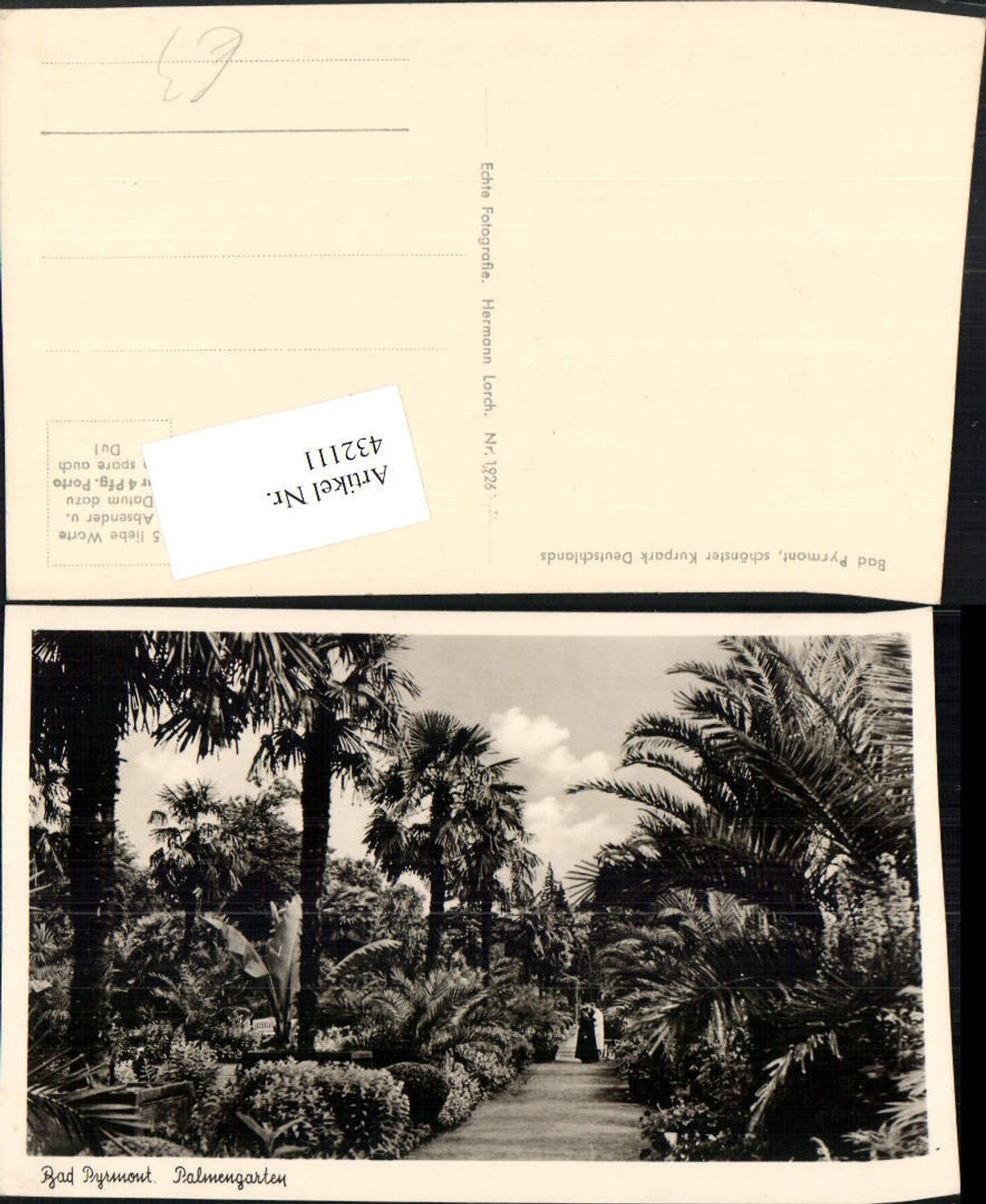 432111,Bad Pyrmont Kurpark Palmengarten